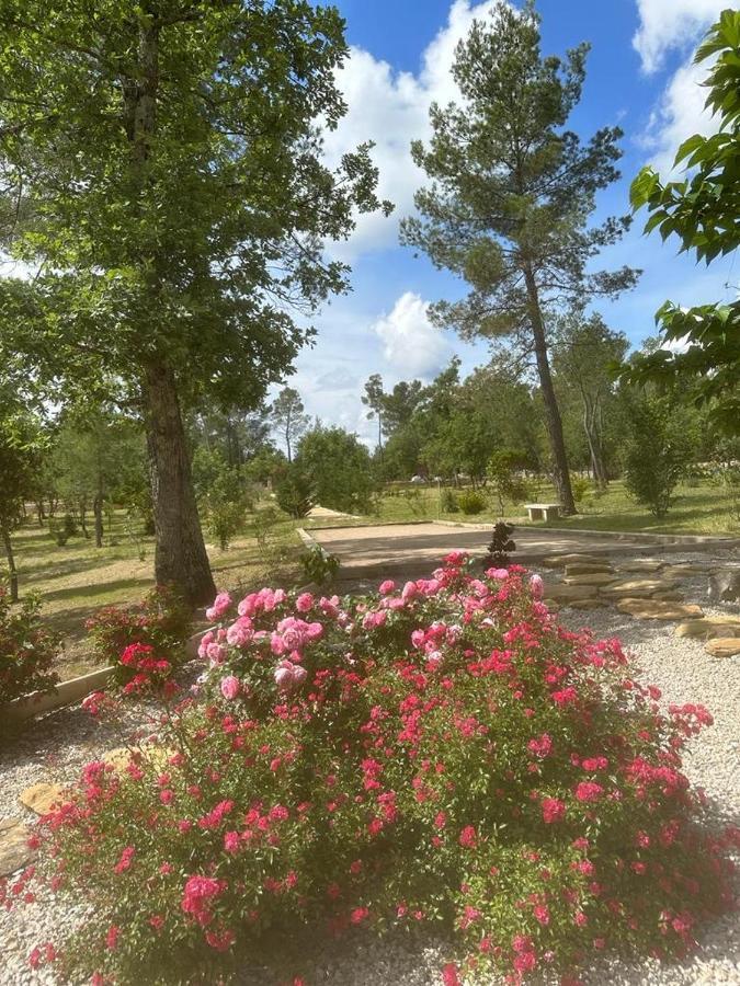 Villa LA GRANDE BASTIDE avec piscine, climatisation et salle de sport Seillans Extérieur photo