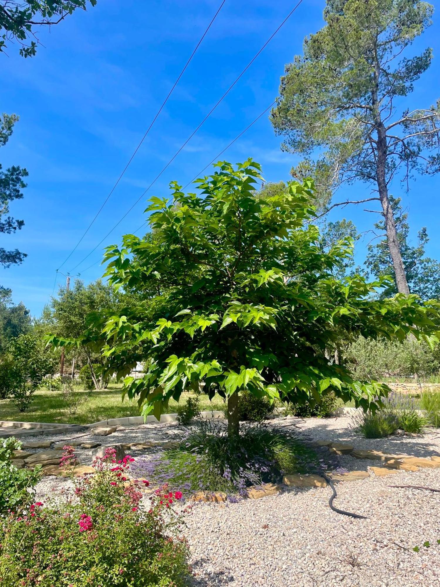 Villa LA GRANDE BASTIDE avec piscine, climatisation et salle de sport Seillans Extérieur photo