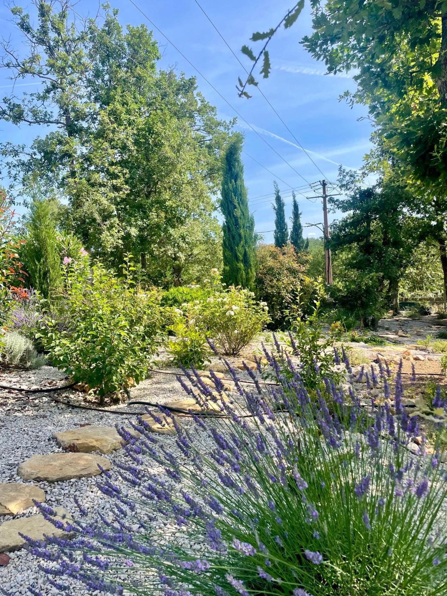 Villa LA GRANDE BASTIDE avec piscine, climatisation et salle de sport Seillans Extérieur photo