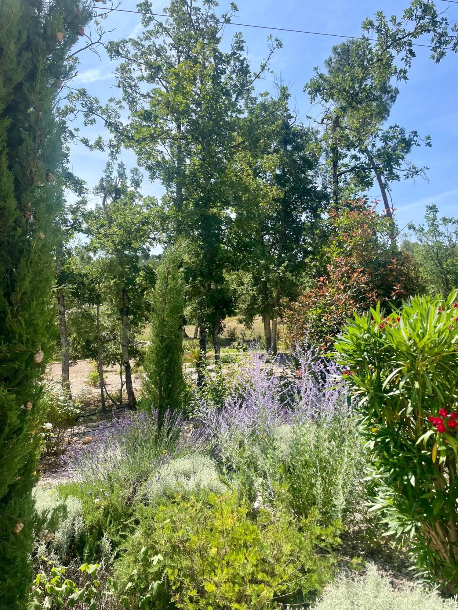 Villa LA GRANDE BASTIDE avec piscine, climatisation et salle de sport Seillans Extérieur photo