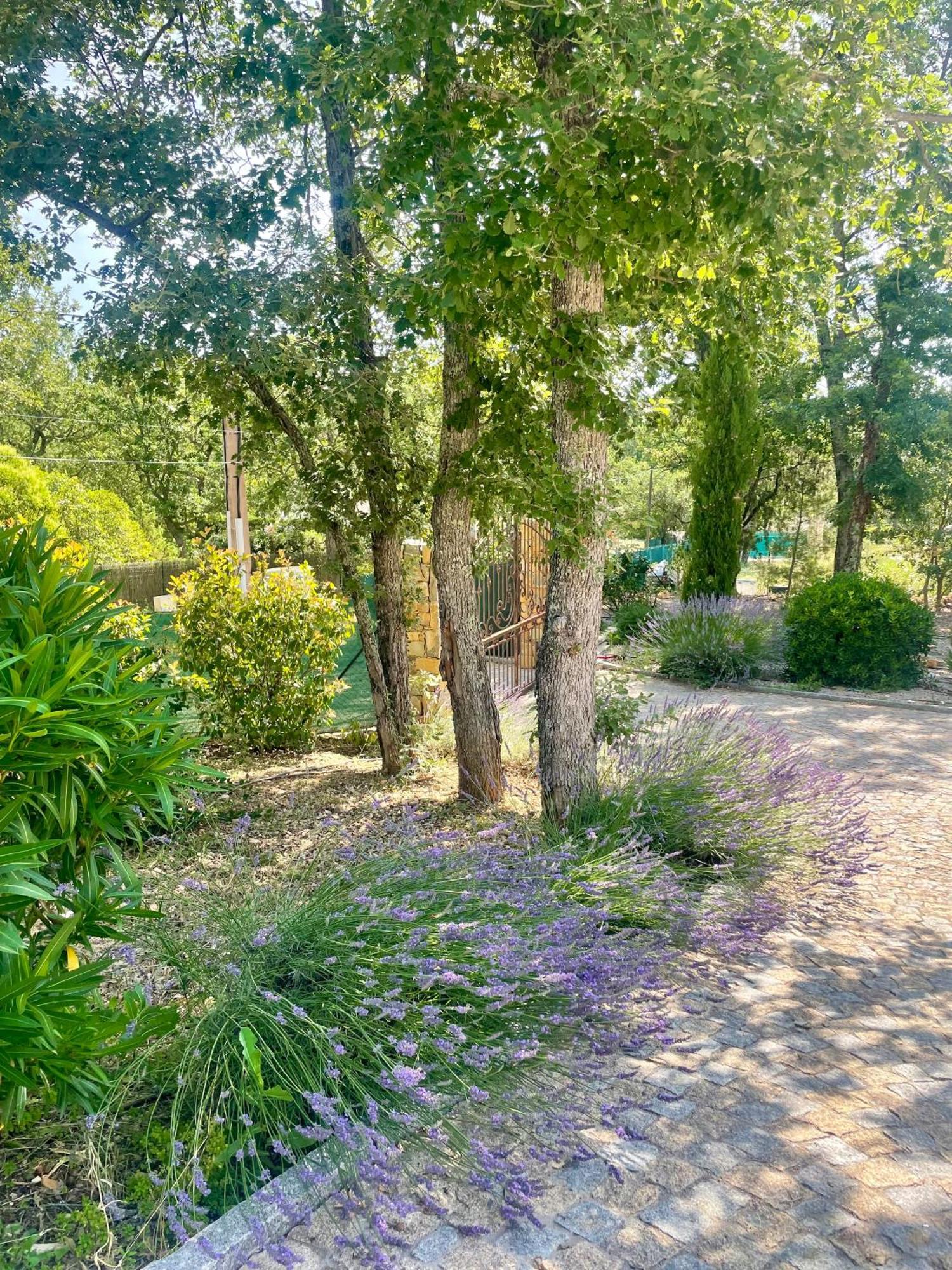 Villa LA GRANDE BASTIDE avec piscine, climatisation et salle de sport Seillans Extérieur photo